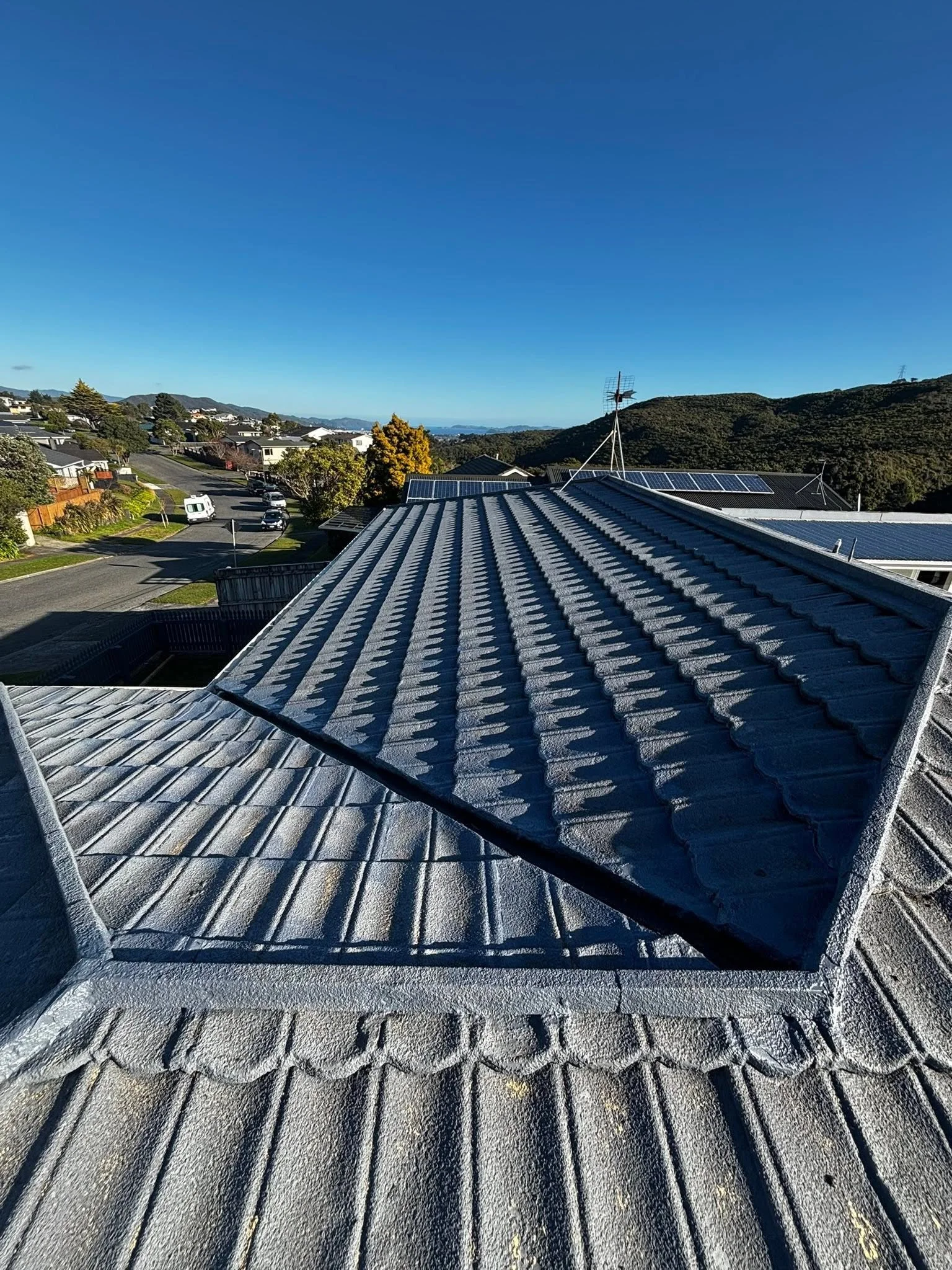 Roofing Services Wellington.jpg