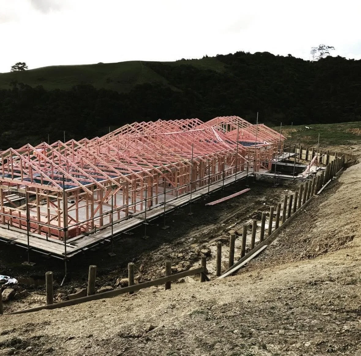 Reno New Build Wellington Service.jpg