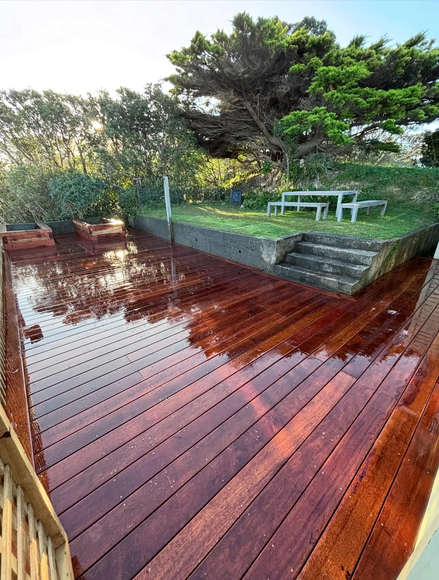 New Deck Service Wellington.jpg