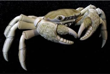 Japanese okimono carving of an articulated crab, c. 1860