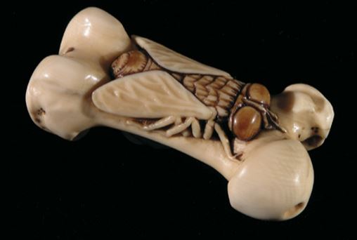 Netsuke carving by Owen Mapp of a fly on a bone
