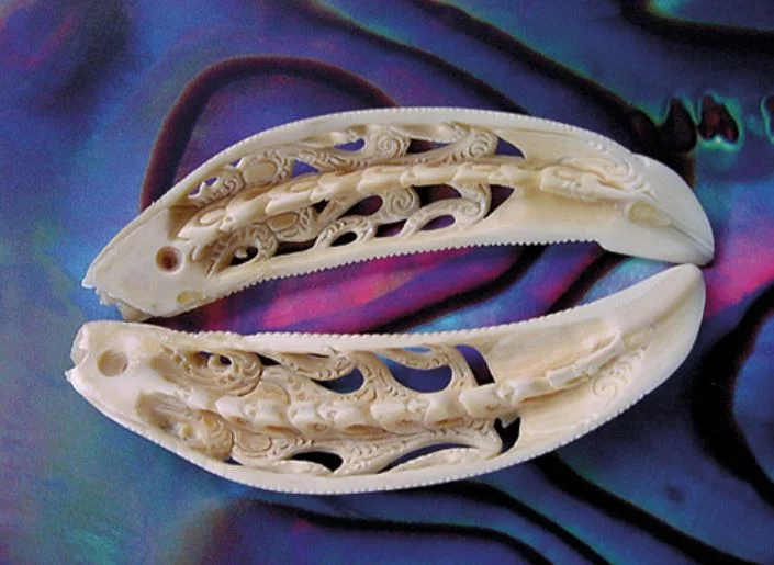 Two sides of a pair of pōhā carved from a whale tooth