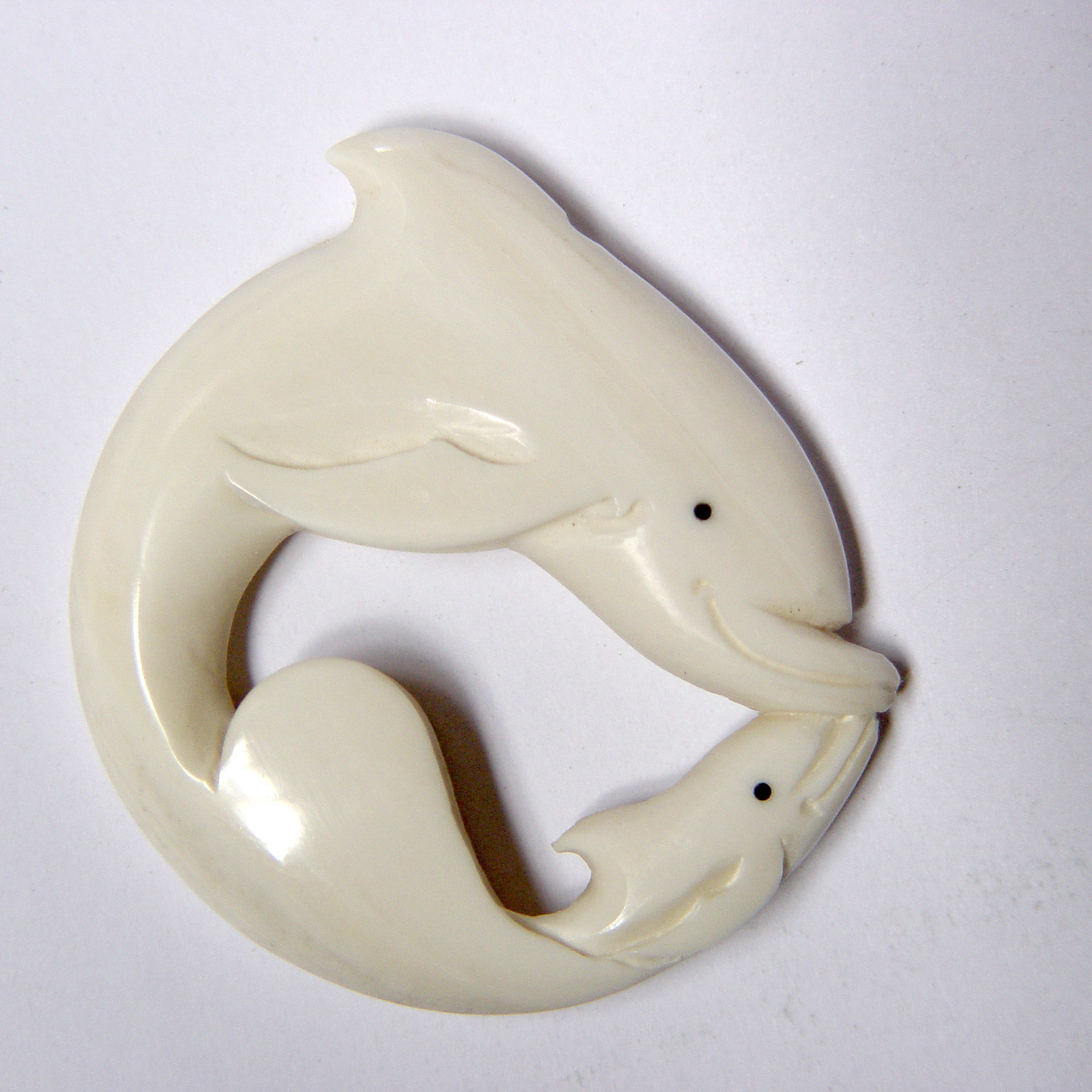 dolphin baby.JPG
