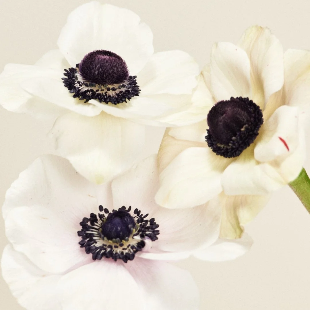 Preparing for Baby and using Natural ingredient based Cosmetics.