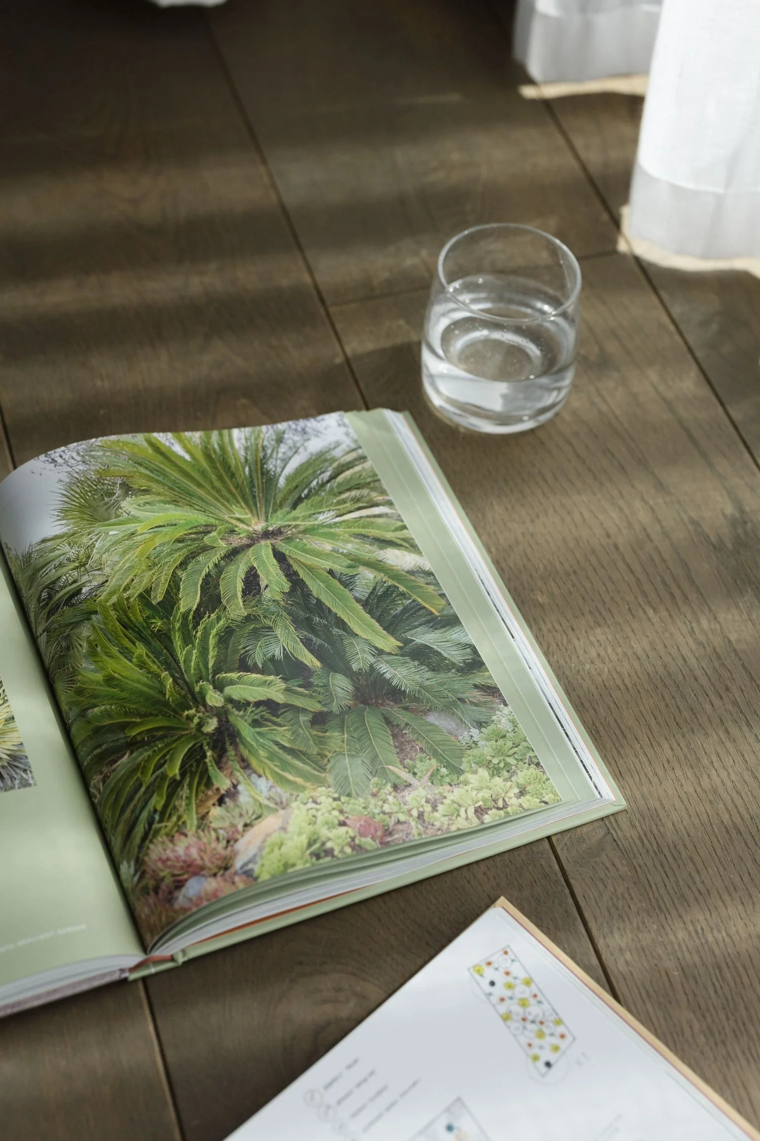 The foundation of a successful garden: Designing space before details
