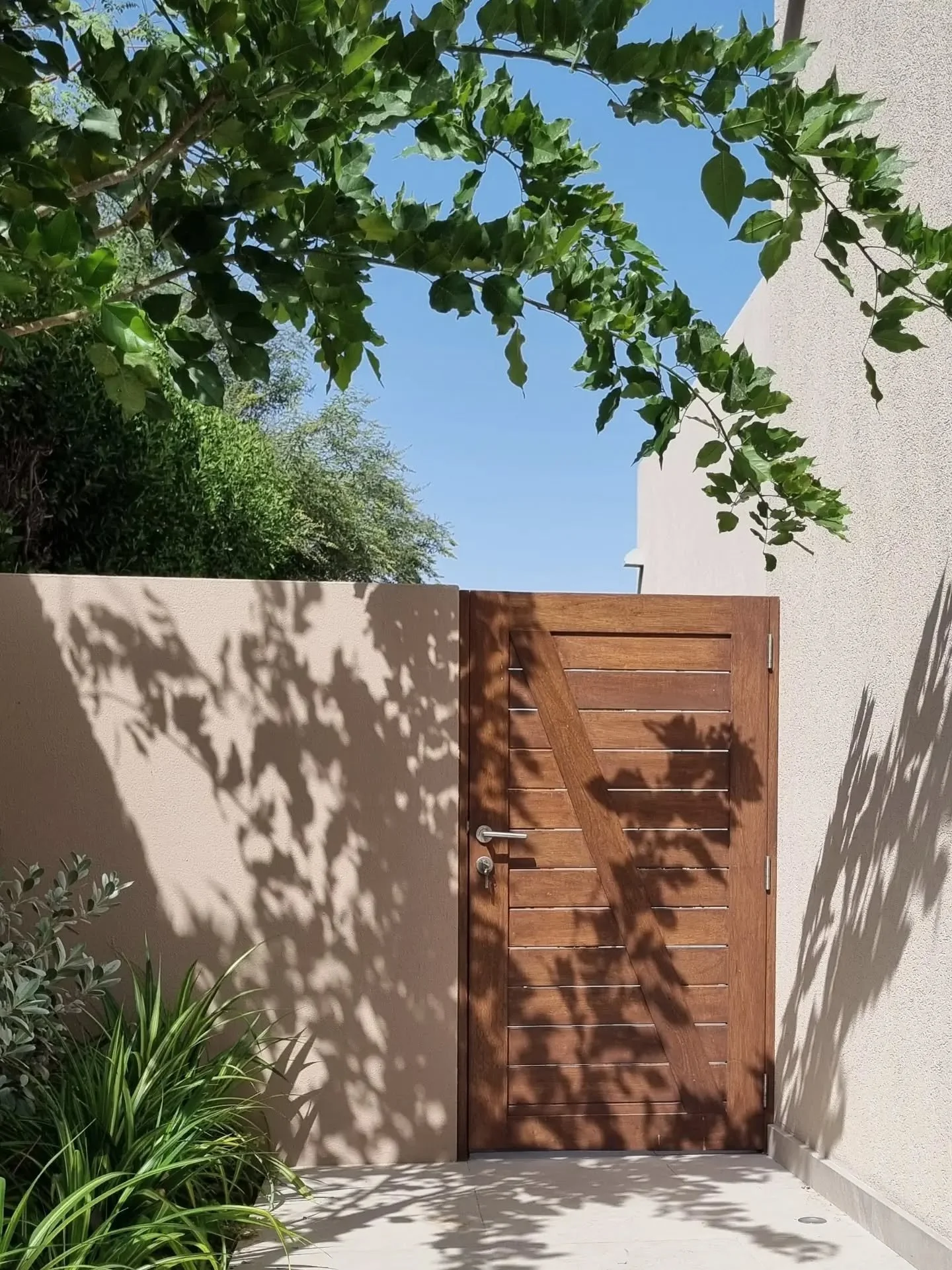 LONGEVITY VS SUSTAINABILITY

A simple side gate, designed intentionally with broad horizontal timber slats.

Designed and fabricated six years ago, the natural colour of the timber complements the Mediterranean style villa and the wider community.

T