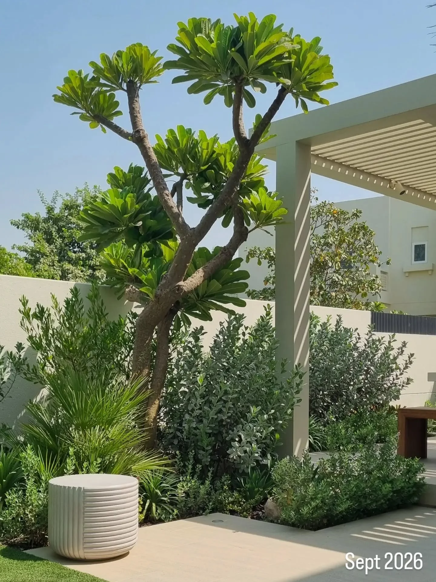 A newly completed garden is only the beginning.

Across the seasons, this garden has changed. Settling in, maturing, and becoming more integrated with the architecture and the way the space is used.

Good garden design isn&rsquo;t about creating a fi