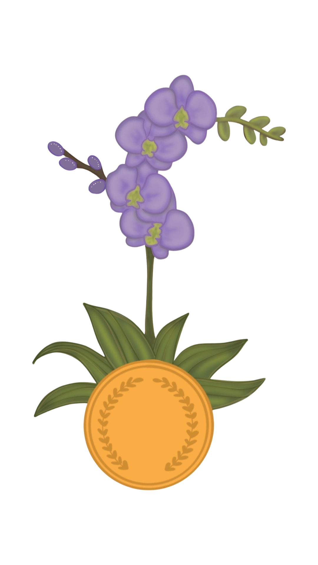 Hookipafc