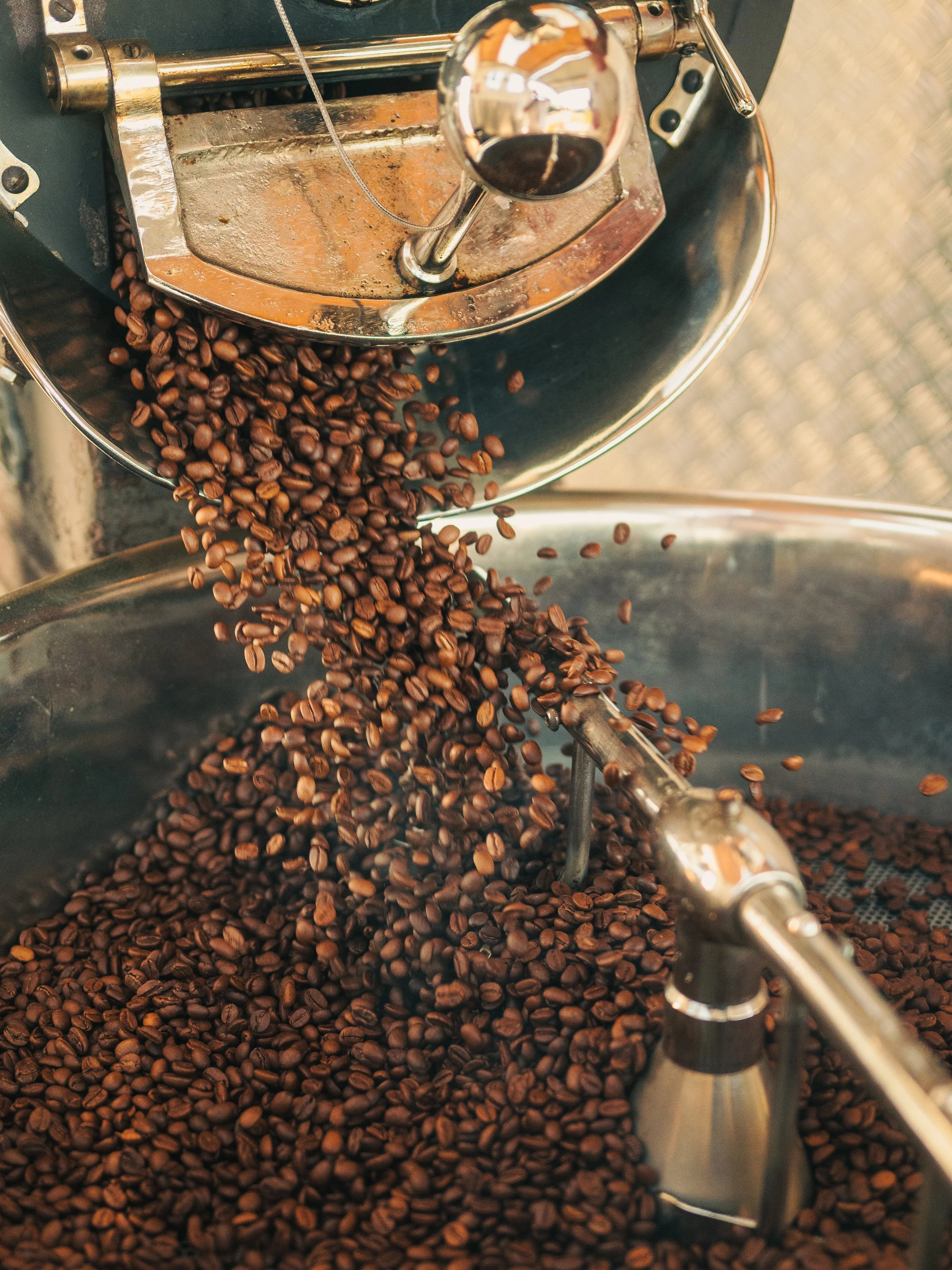 Close-up view of roasted coffee beans being processed in a coffee roasting machine with a metal arm and a shiny reflective surface.