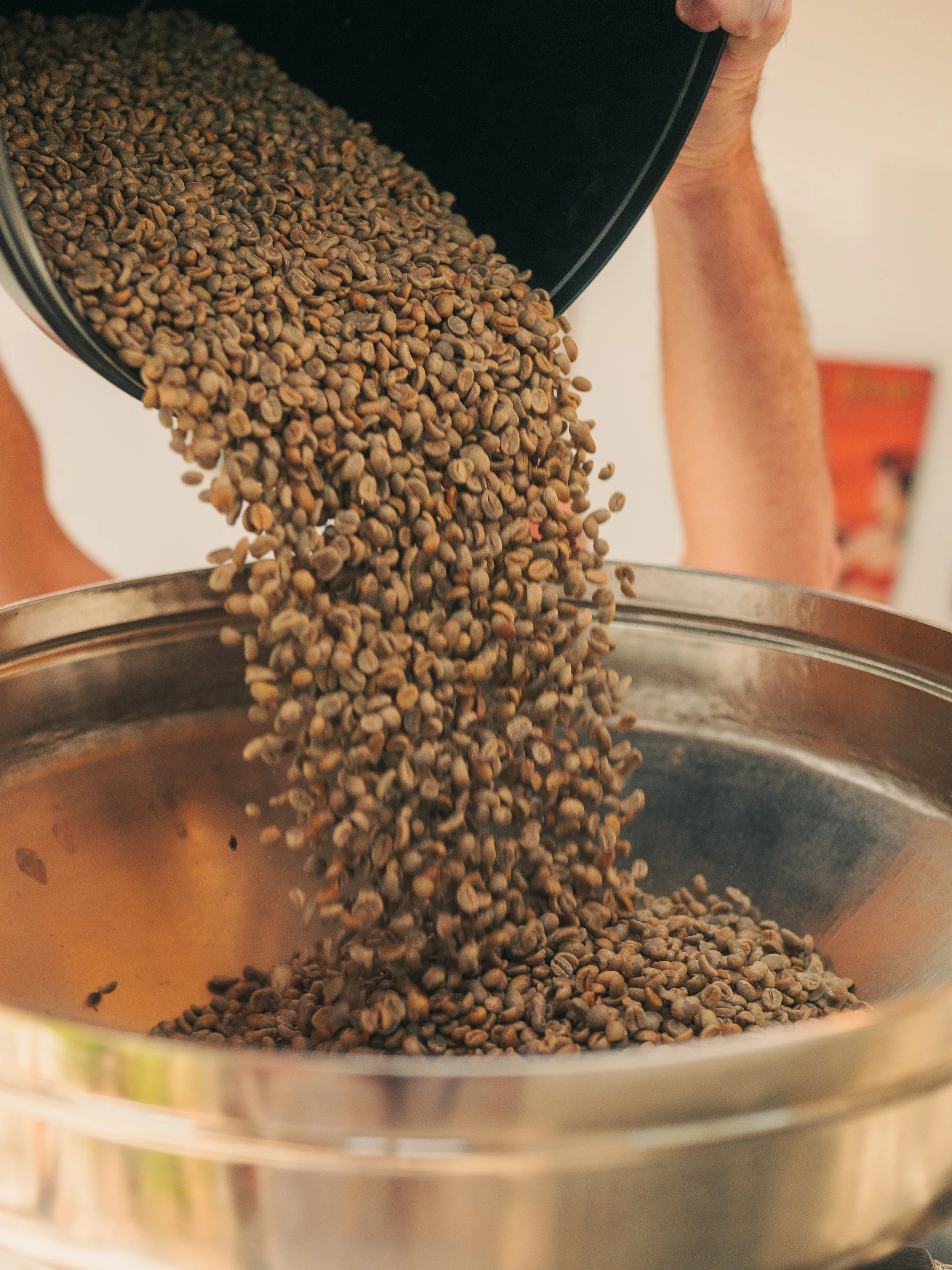 Close-up of a person pouring dry coffee beans into a metallic container.