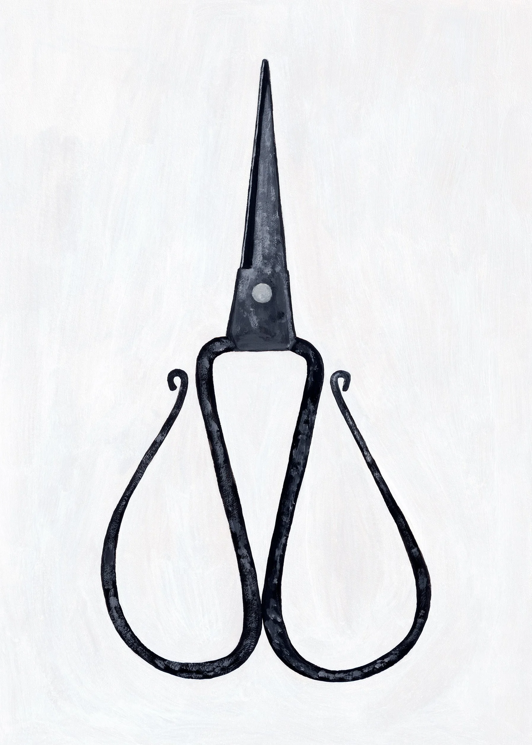 Tajika Scissors, 2024