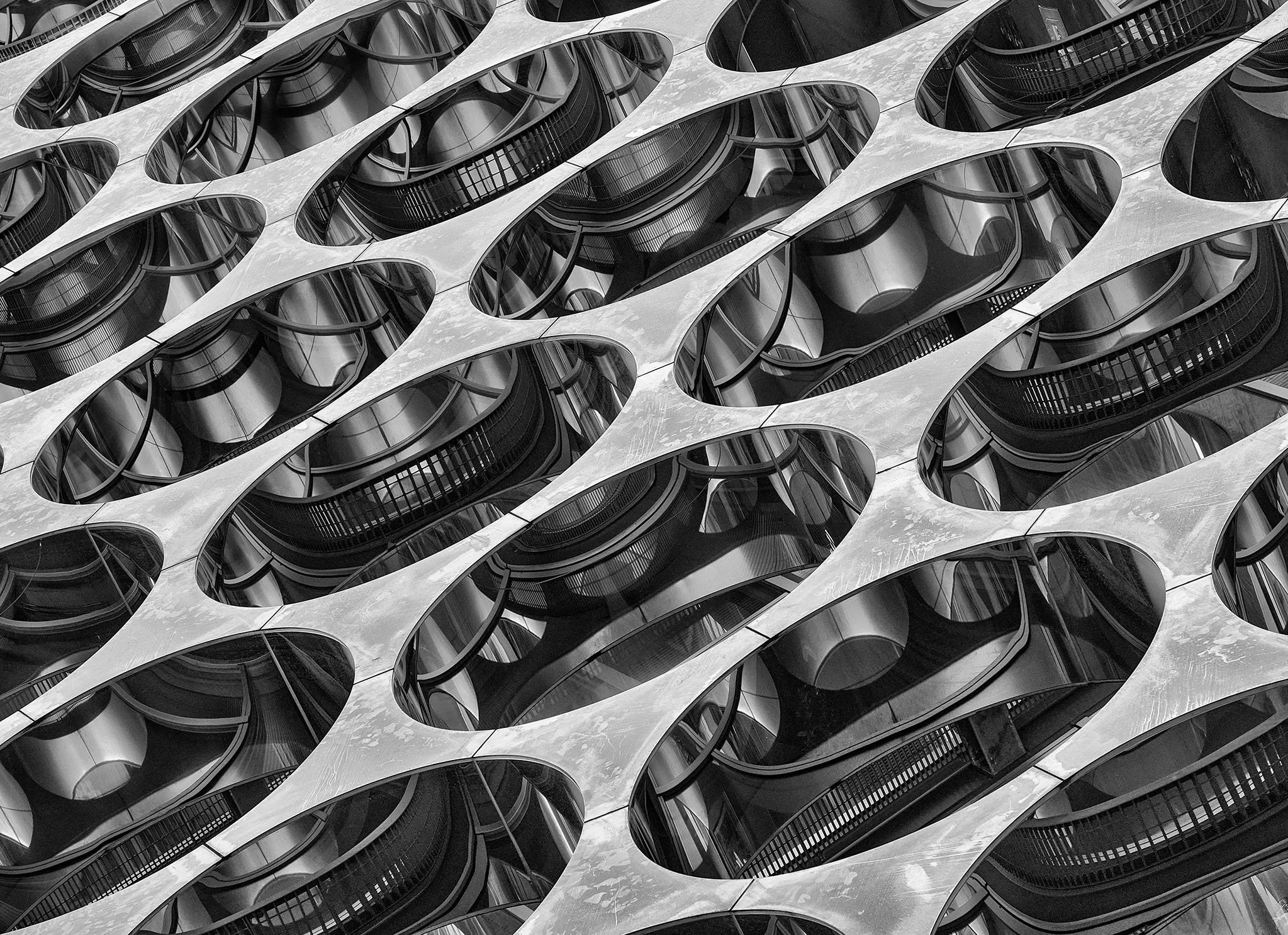 DSC_8938bw.jpg