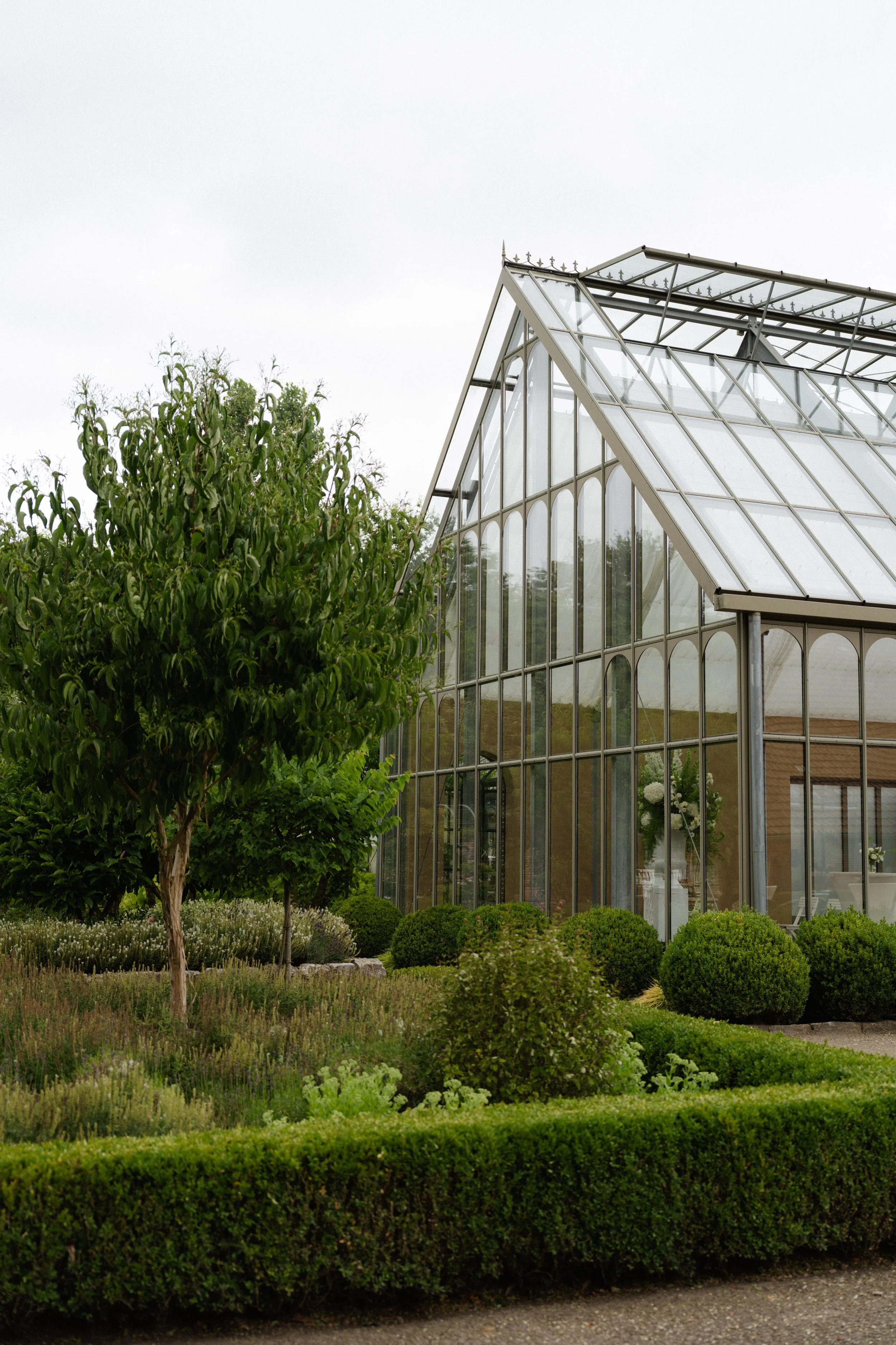 Garten mit einem großen grünen Baum, Rasenflächen, Sträuchern und einem Gewächshaus im Hintergrund.