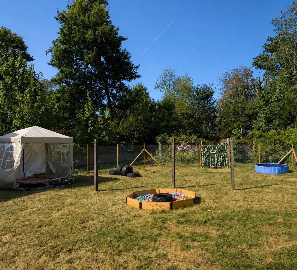 Backyard with a white tent, a small inflatable pool, a ball pit filled with colorful balls, and some trees and plants in the background.