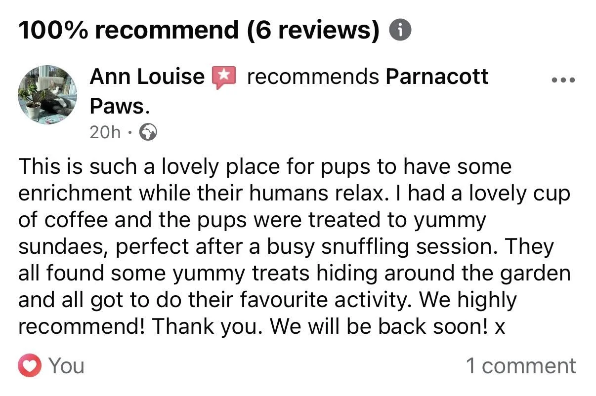 Screenshot of a social media review recommending Parnacott Paws, describing it as a lovely place for puppies to relax and find treats, with a photo of a cat resting on a windowsill with plants.
