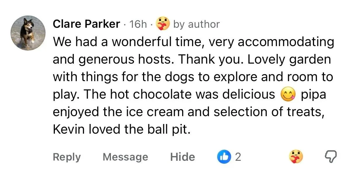 Screenshot of a social media comment praising a visit to a garden with dogs, mentioning ice cream, treats, and a ball pit.
