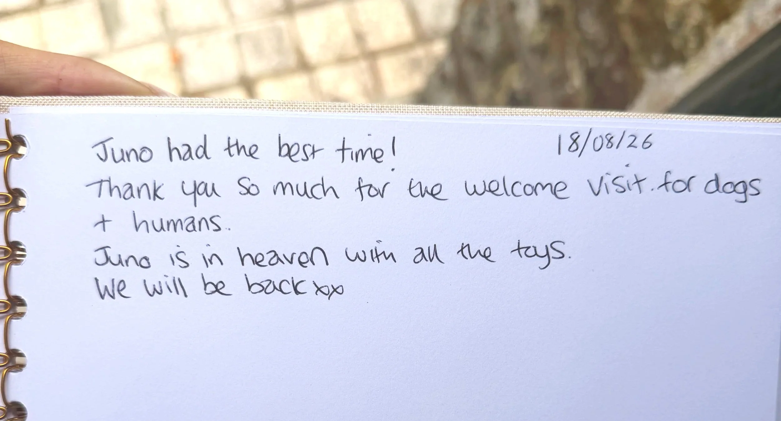 A handwritten note on paper with date 18/05/26 that says: "Juno had the best time! Thank you so much for the welcome visit for dogs & humans. Juno is in heaven with all the toys. We will be back!"