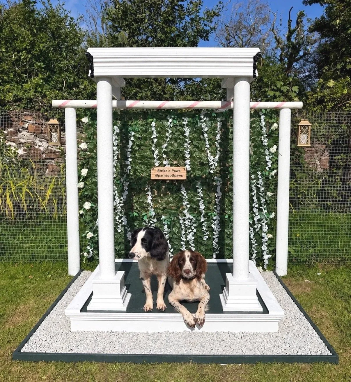 Two spaniel dogs sitting beneath a white garden arch decorated with flowers and a sign reading “Strike a Paws.” at Parnacott House & Parnacott Paws.
