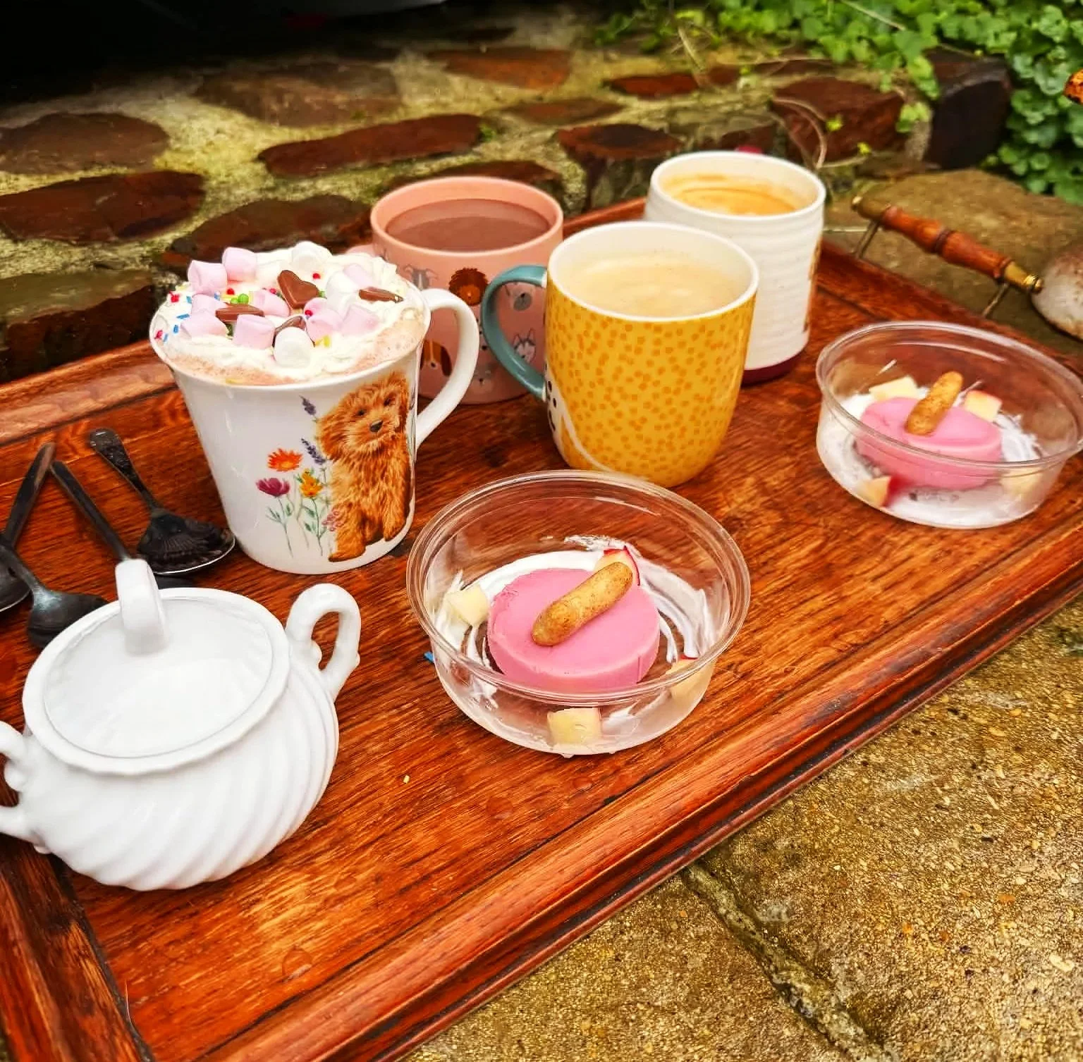 Outdoor wooden tea tray with four mugs of hot drinks, a marshmallow-topped cocoa, and bowls of pink desserts at Parnacott House & Parnacott Paws.