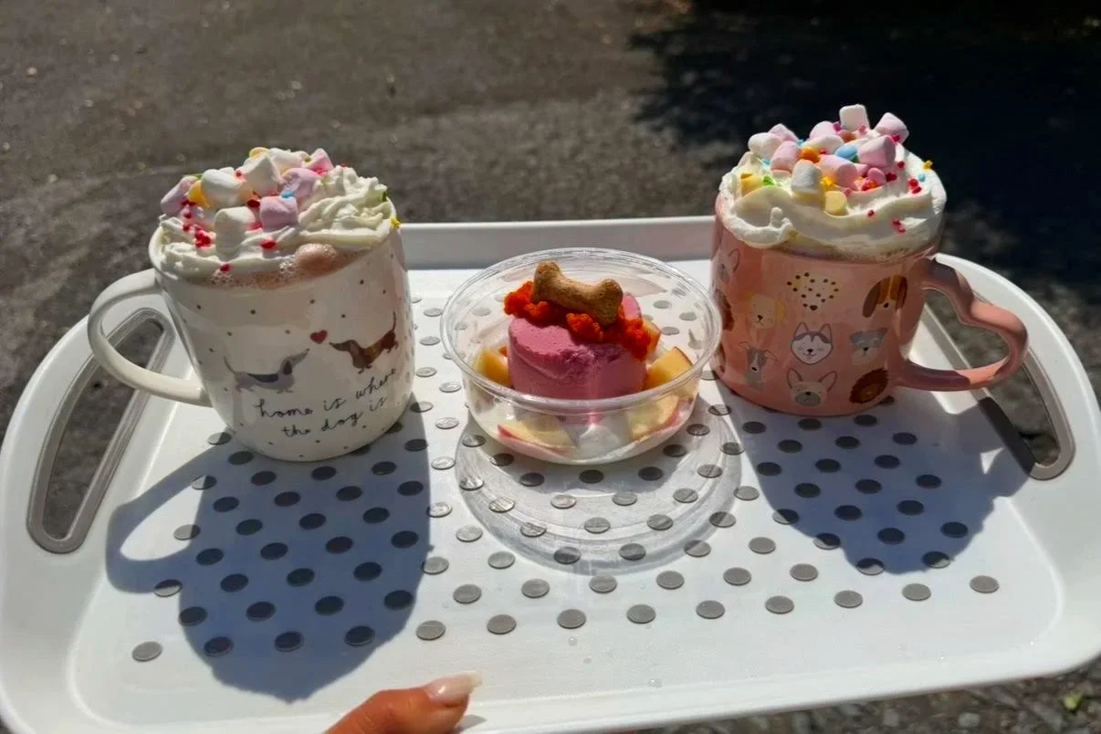 Two mugs of hot chocolate topped with marshmallows and sprinkles, and a small pup sunday bowl of pink ice cream with a dog-shaped biscuit and toppings, on a white tray outdoors.