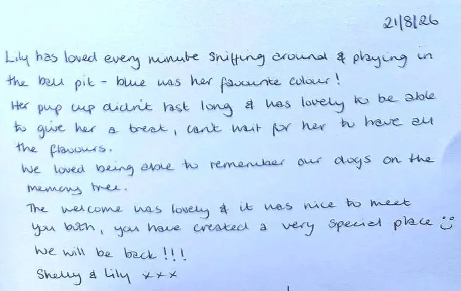 A handwritten letter on a blue paper dated 2/8/26, describing a dog named Lily and her playful, loving behavior, and expressing anticipation of returning to meet her again.