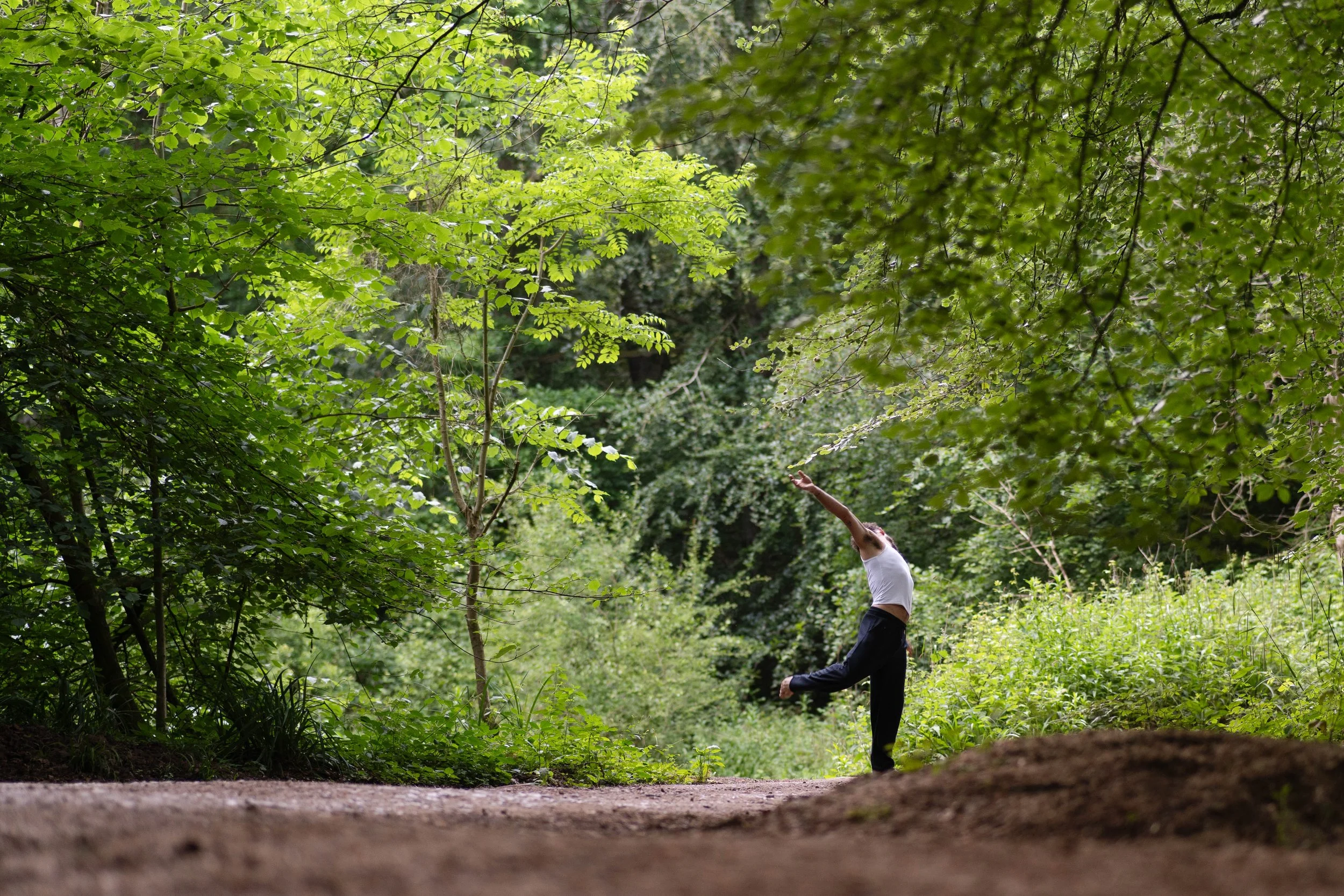 Person practicing yoga or stretching outdoors in a lush, green forest.