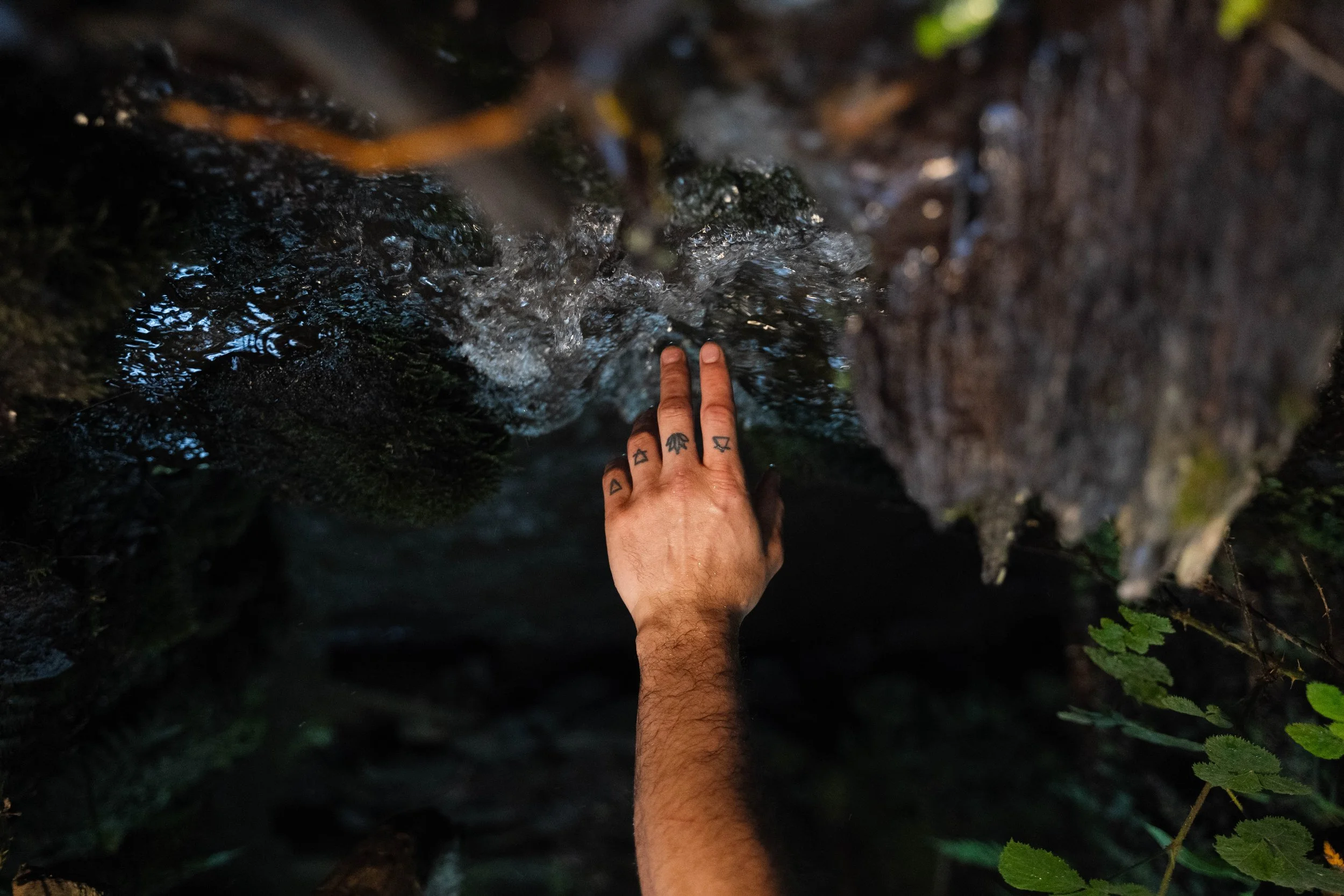 A person's arm and hand with tattoos on fingers reaching into a small, narrow opening with wet, mossy rocks and some greenery around it.