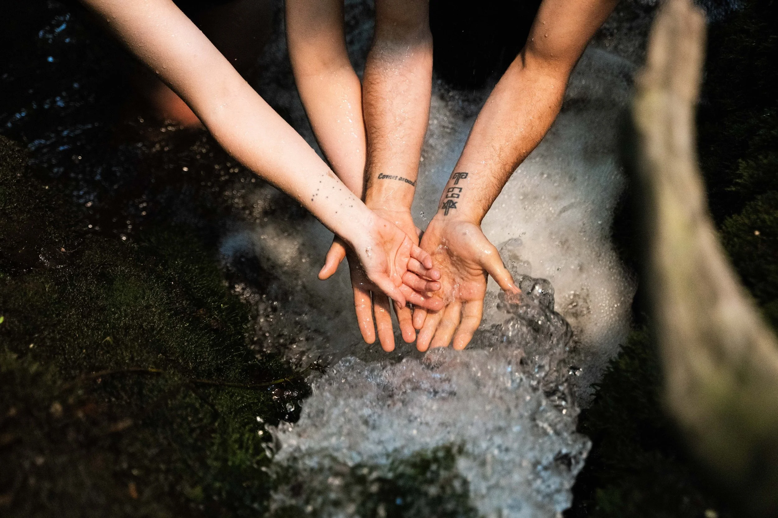 Holistic wellbeing coach