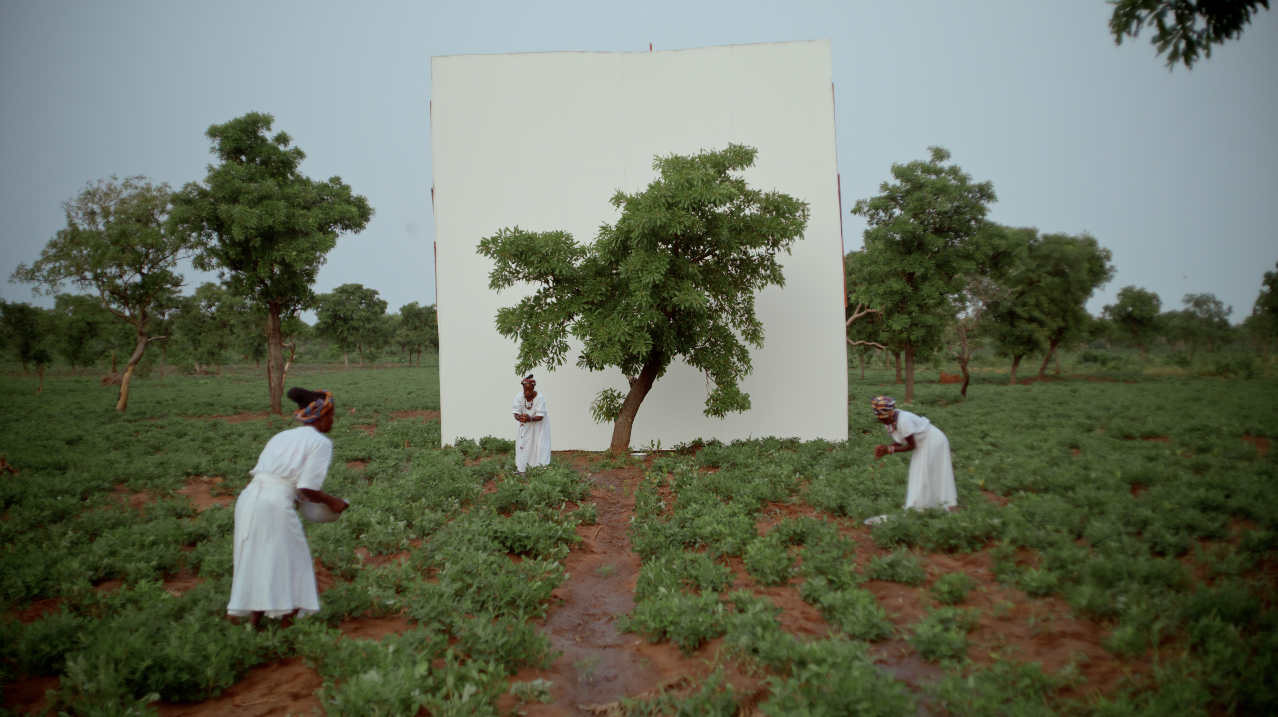 Women working in a farm field with a white wall and trees in the background.