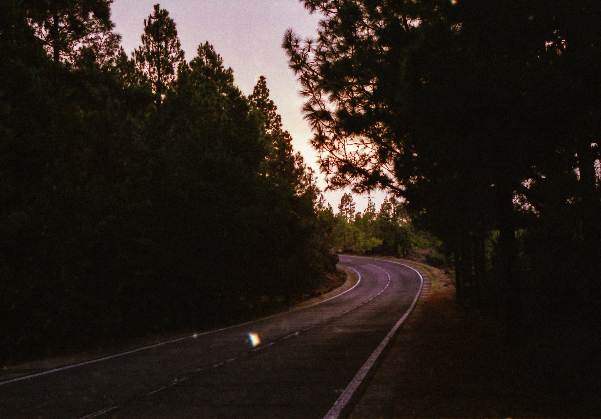 A winding road through a forested area at dusk or dawn, with trees silhouetted against a purple and pink sky.