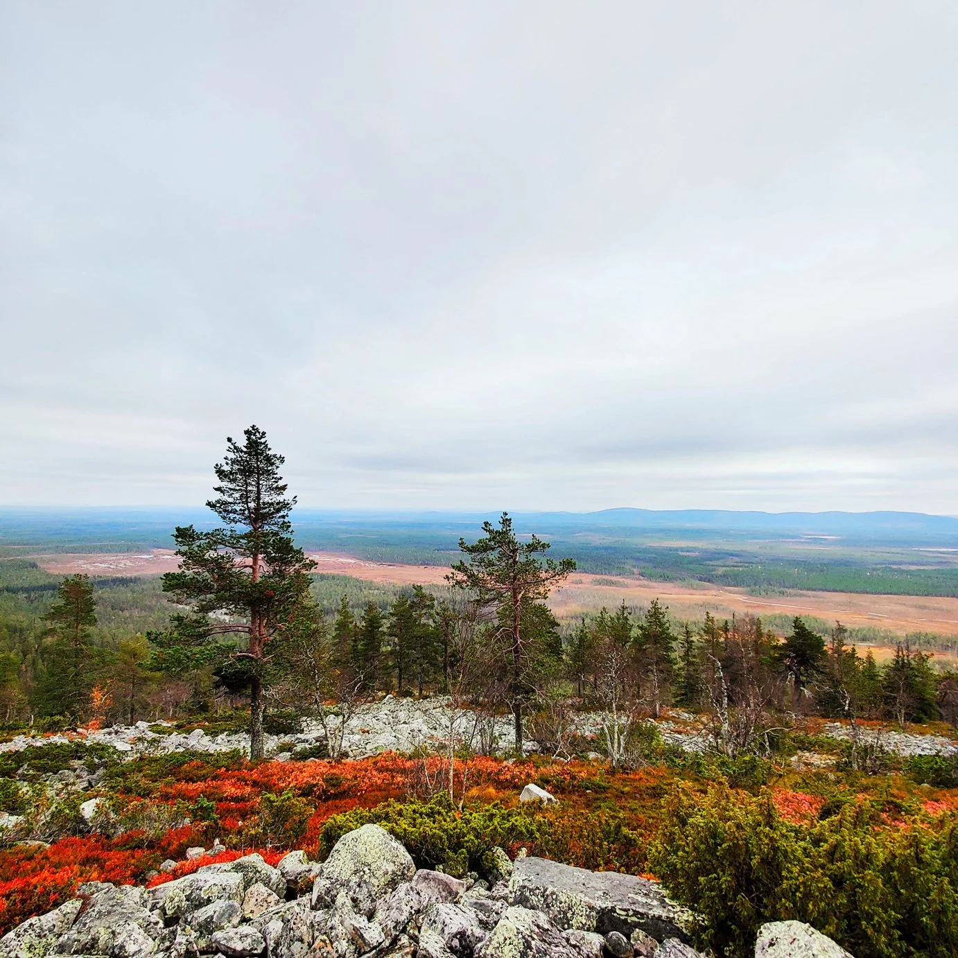 Vandring i Lapland