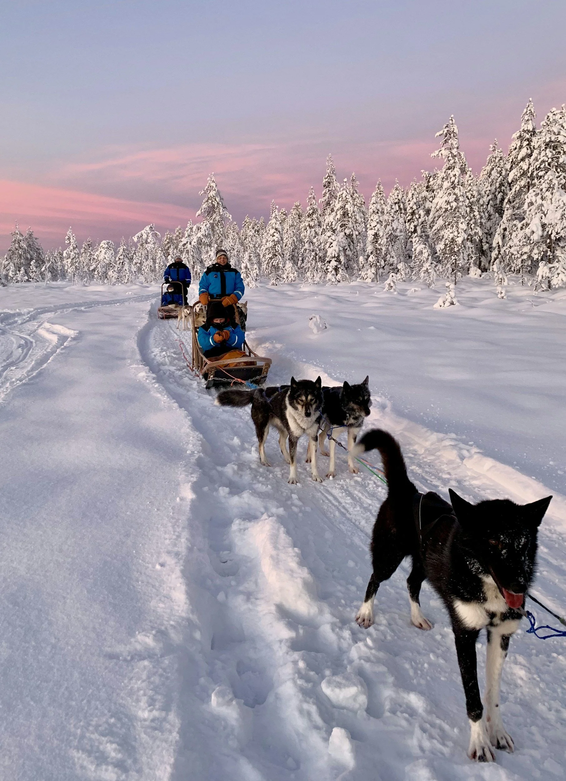Lapland for hele familien