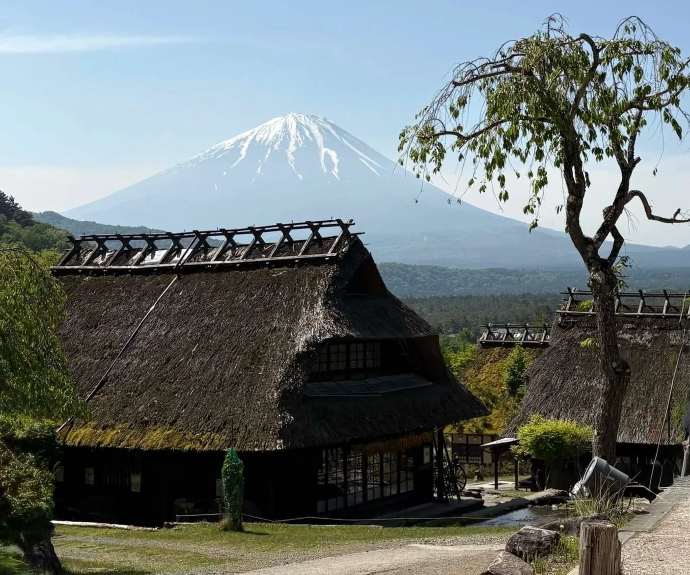 Japansk tempel og natur