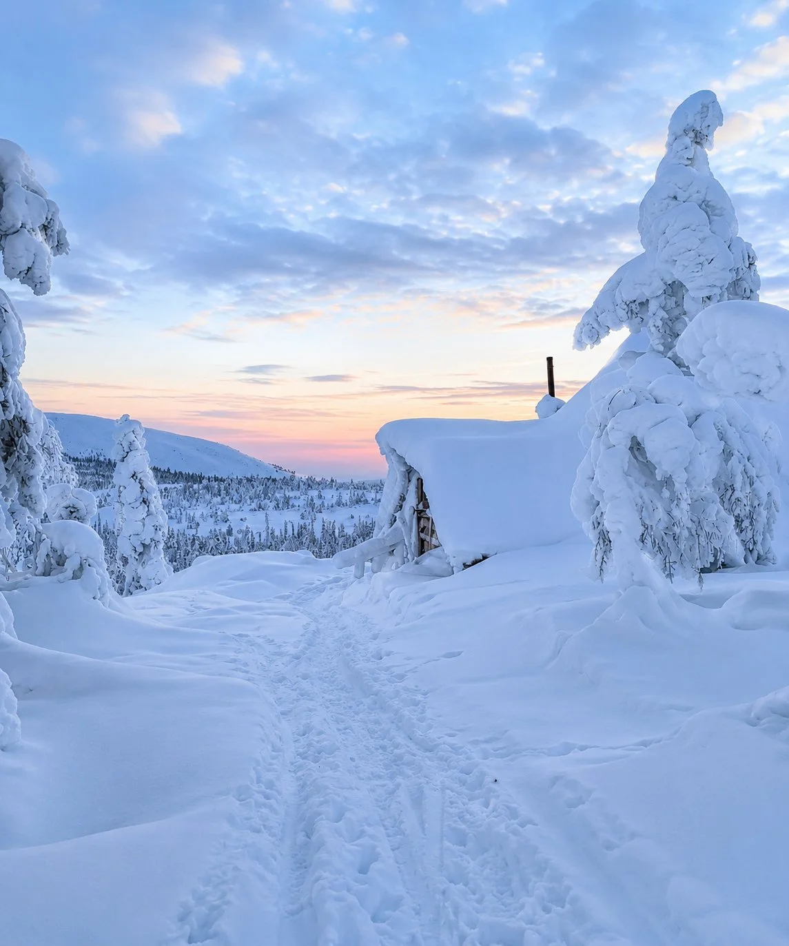 Vinterlandskab i Lapland