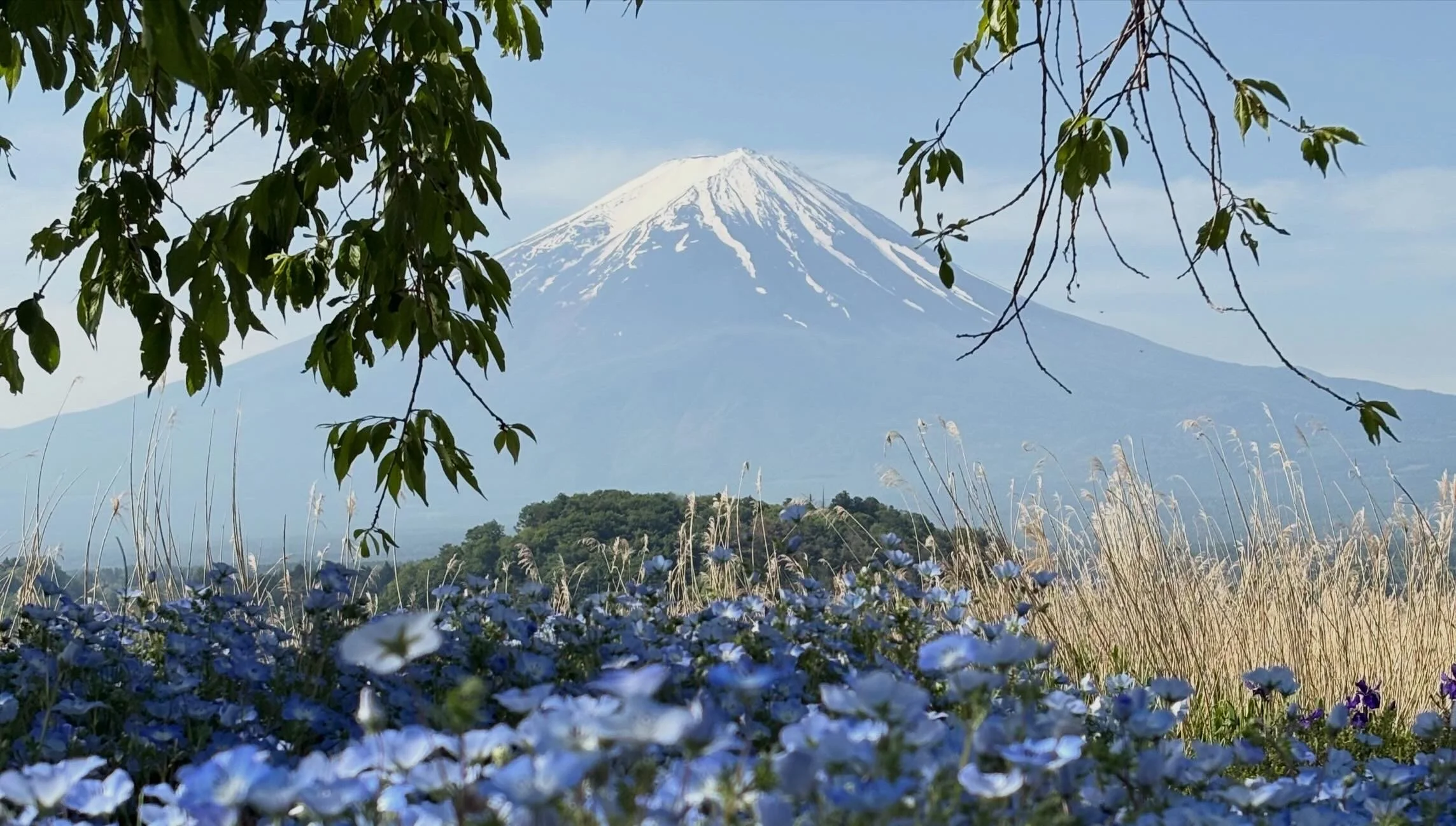 Mount Fuji i Japan