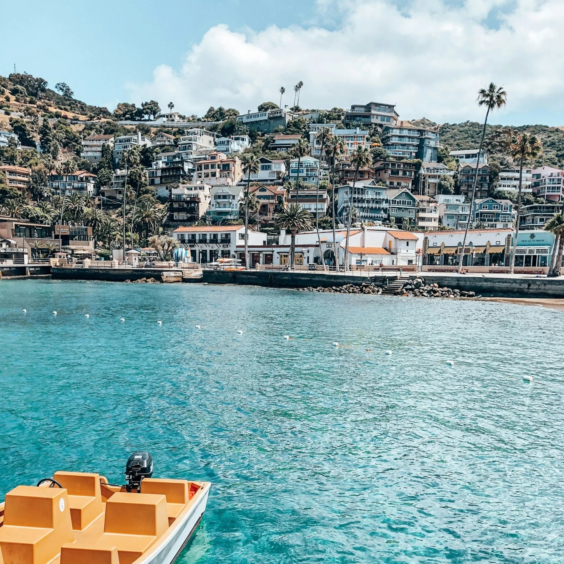 Hillside homes and palm trees in Avalon on Catalina Island, California.