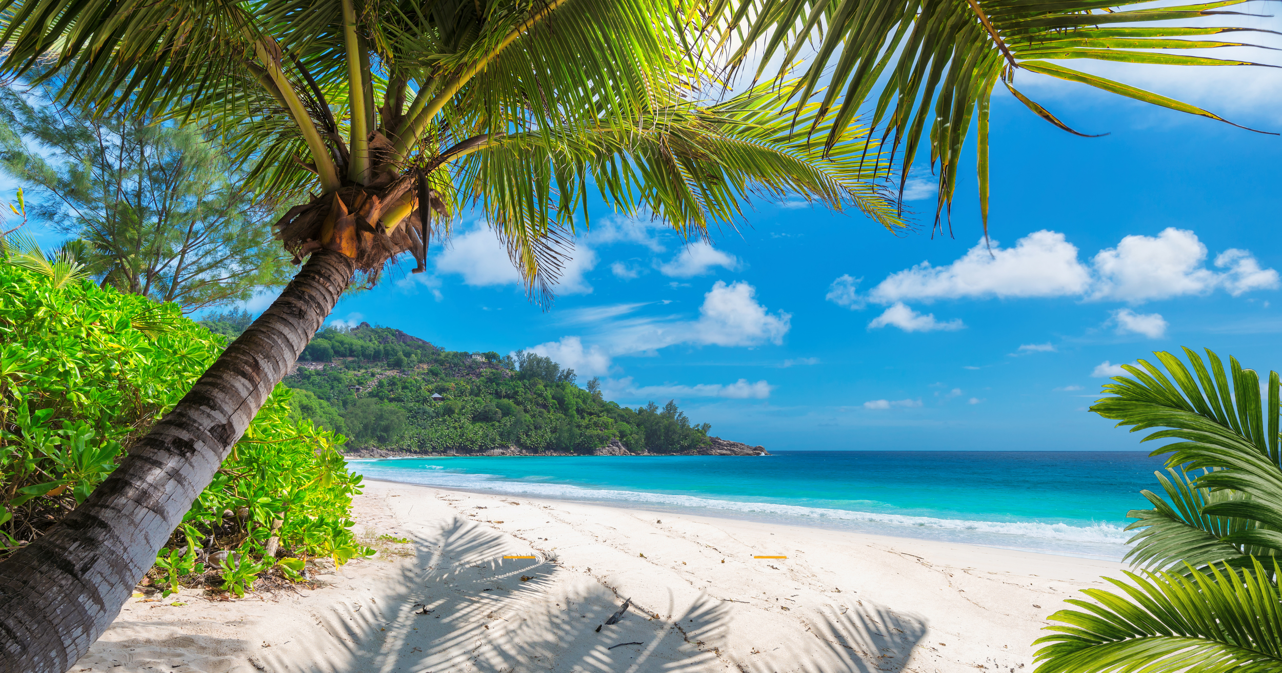 Palm trees framing a white-sand beach with turquoise water, lush coastal hills, and a bright blue sky.