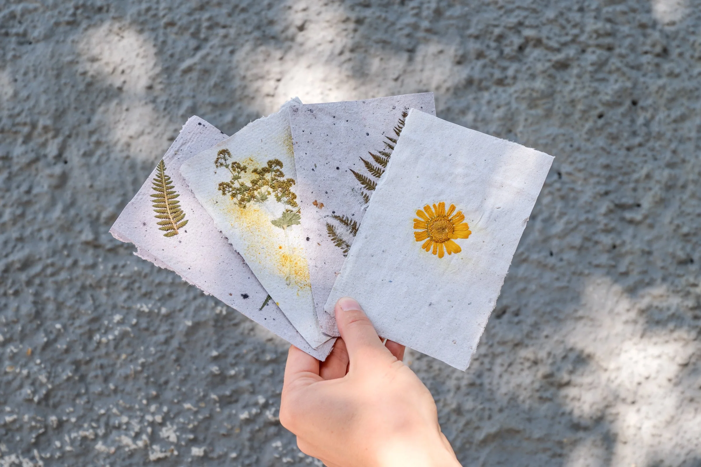 Selbst geschöpftes Papier mit Blüten und Pflanzen beim Paper Making Workshop von La Squadra in Chur