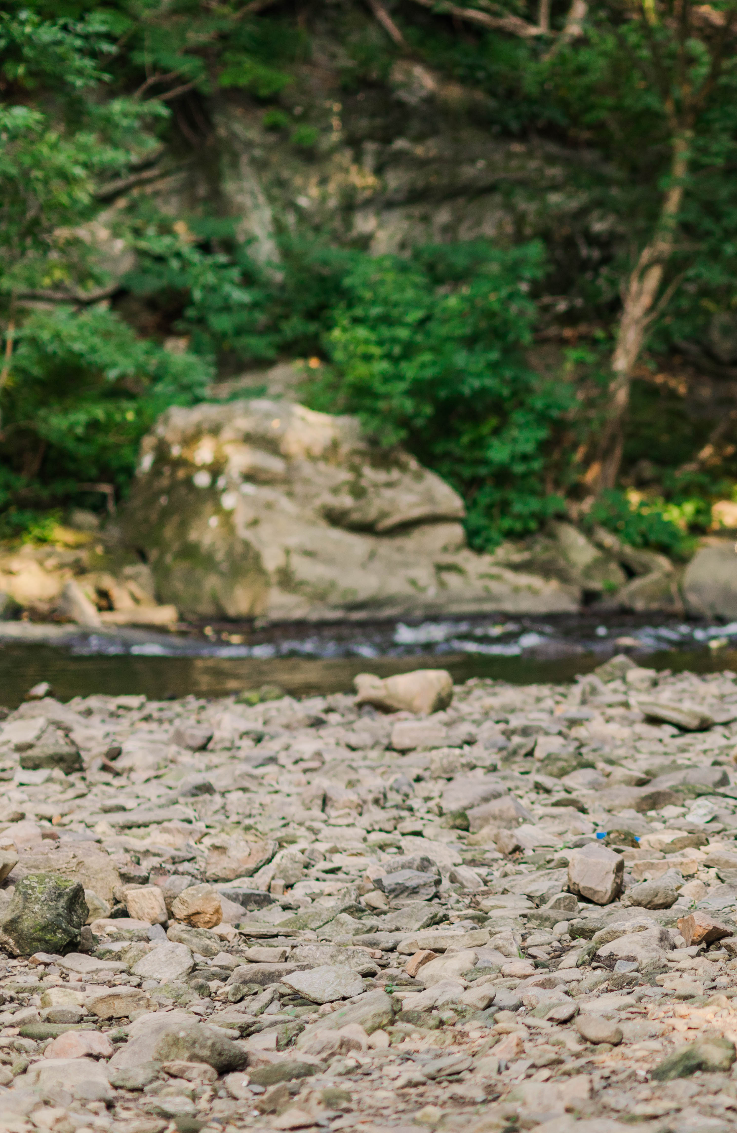 A rocky riverbank with trees and green foliage in the background.