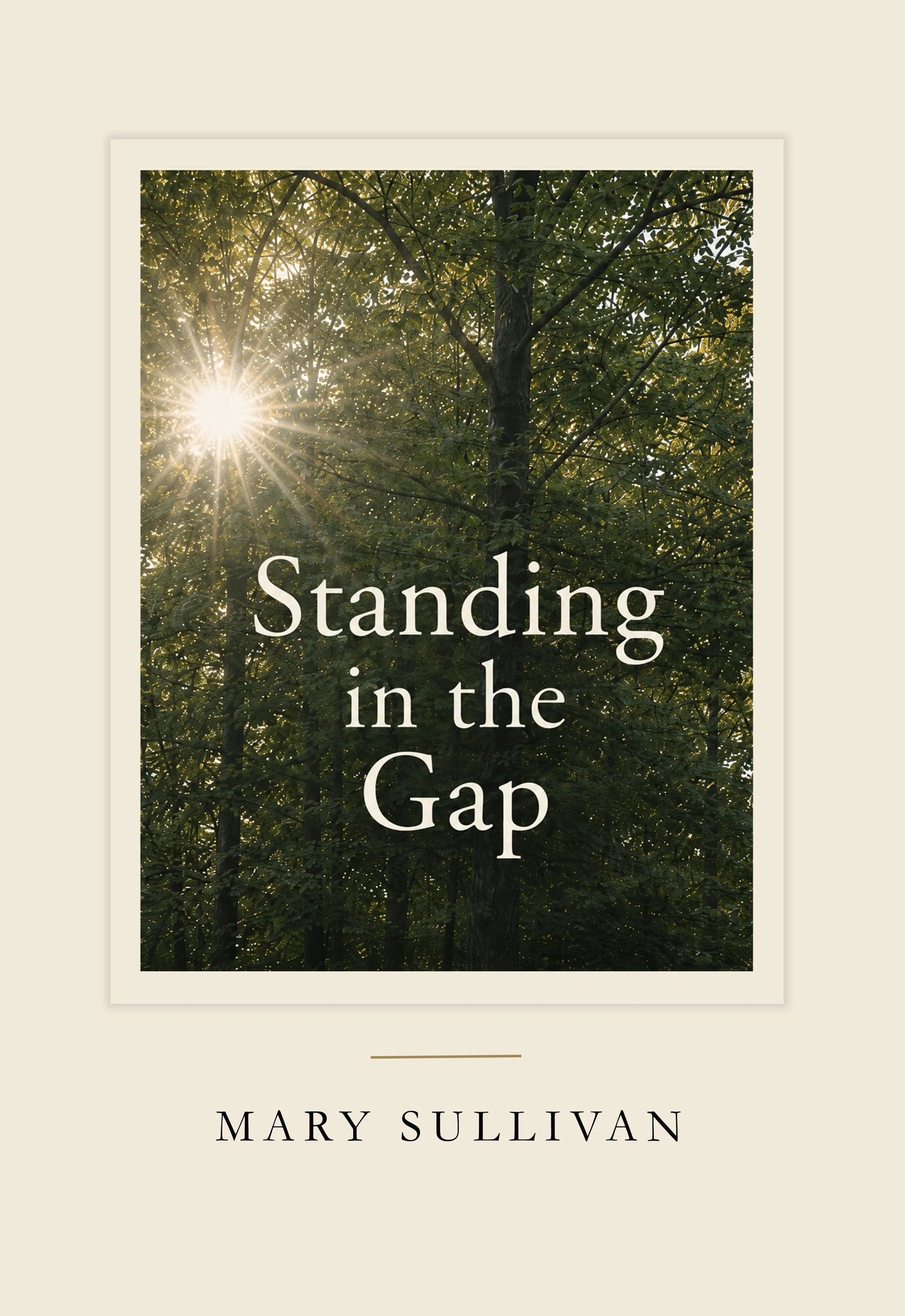 Cover of the book Standing in the Gap wth sunburst shining through the trees