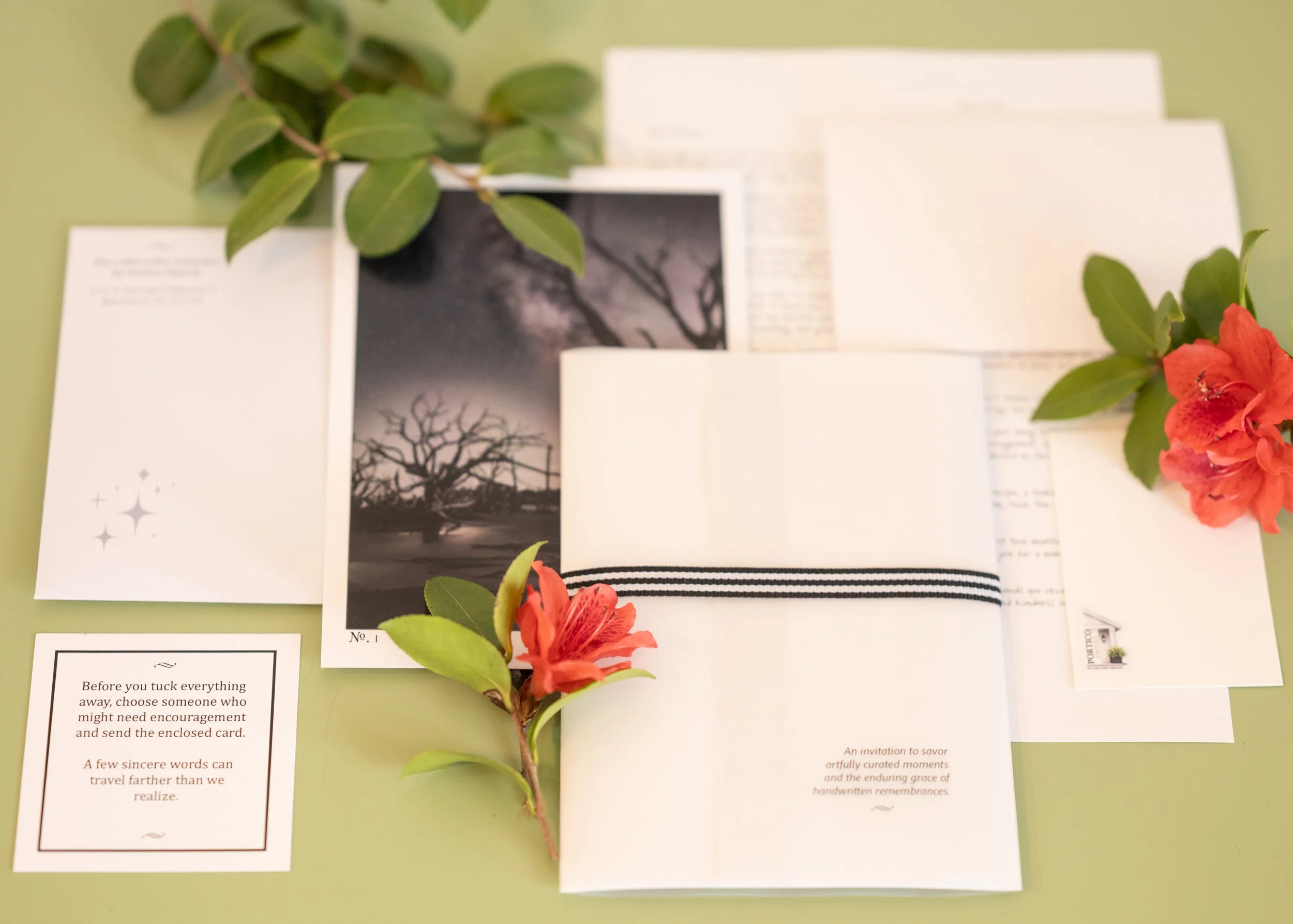 MPS_0228.JPG