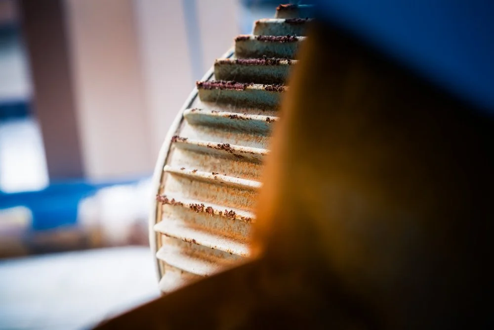 Close-up of a dirty paper or cardboard coffee filter on a coffee machine.