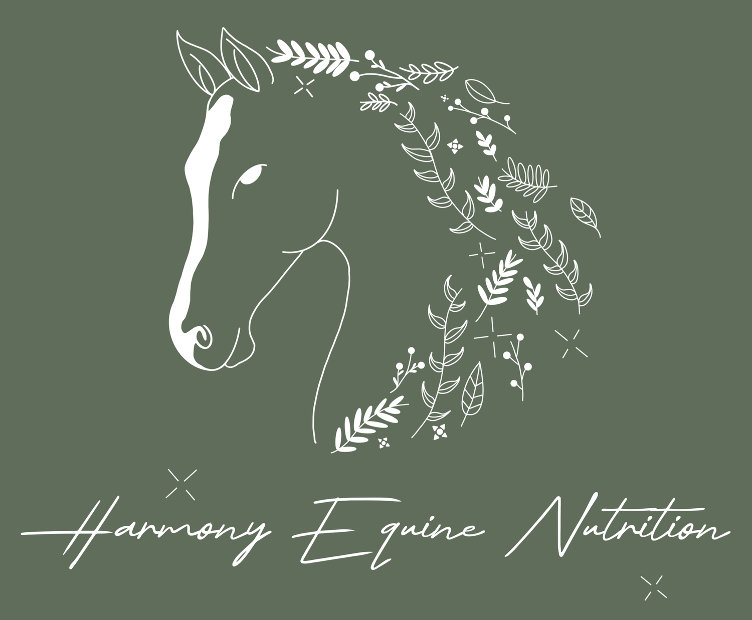 HARMONY EQUINE NUTRITION