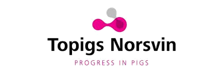 Logo van Topigs Norsvin met de tekst 'Progress in Pigs' onderaan.