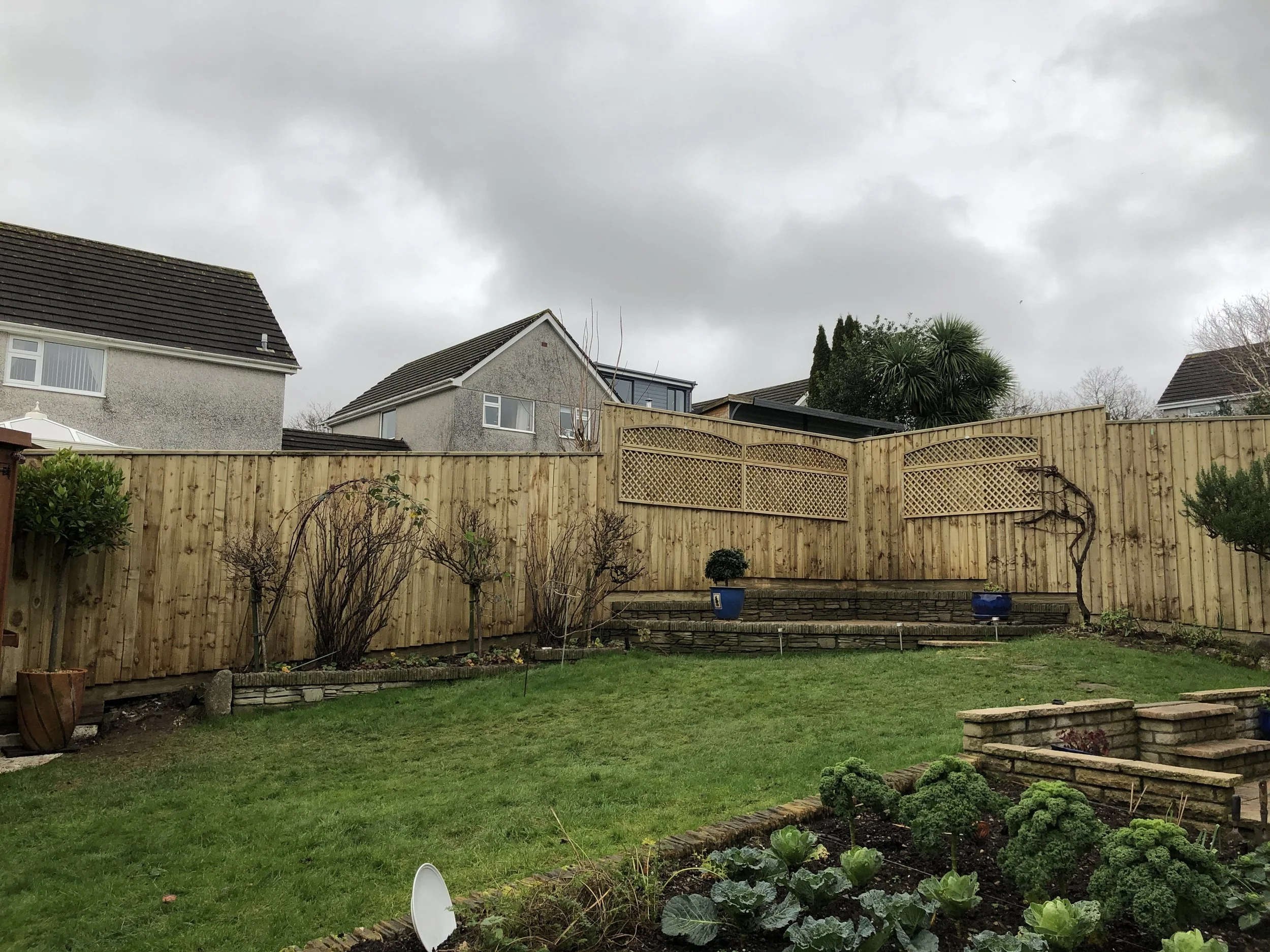 A backyard garden with a green lawn, vegetable bed, small shrubs, a wooden fence, and houses with cloudy skies overhead.