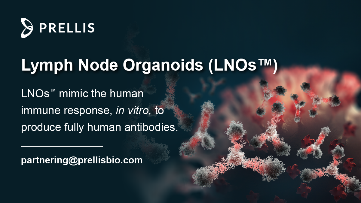 Promotional graphic for Prellis about Lymph Node Organoids, showing a stylized molecular structure with text explaining that LNOs mimic human immune response in vitro to produce antibodies, and providing an email contact.