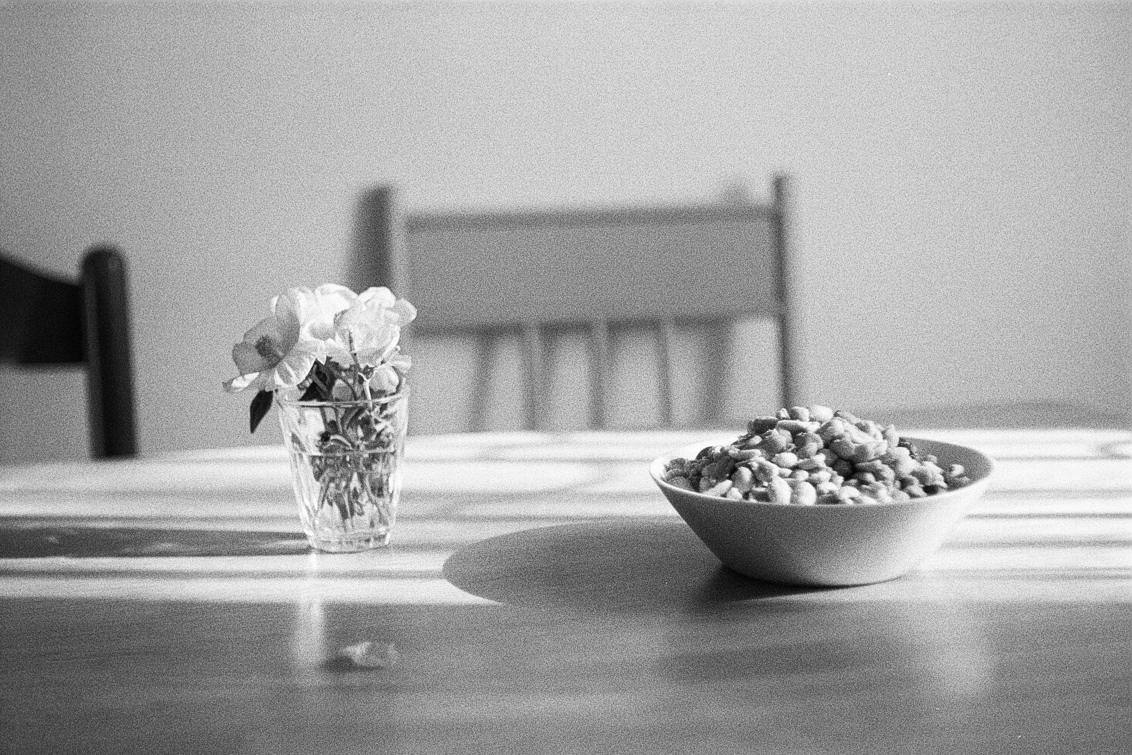 Schwarz-weiß-Fotografie eines gedeckten Tisches mit einer Blumenvase, einer Schüssel voller Nüsse und einem Teller mit einem Kuchen, im Hintergrund eine Sitzgelegenheit.