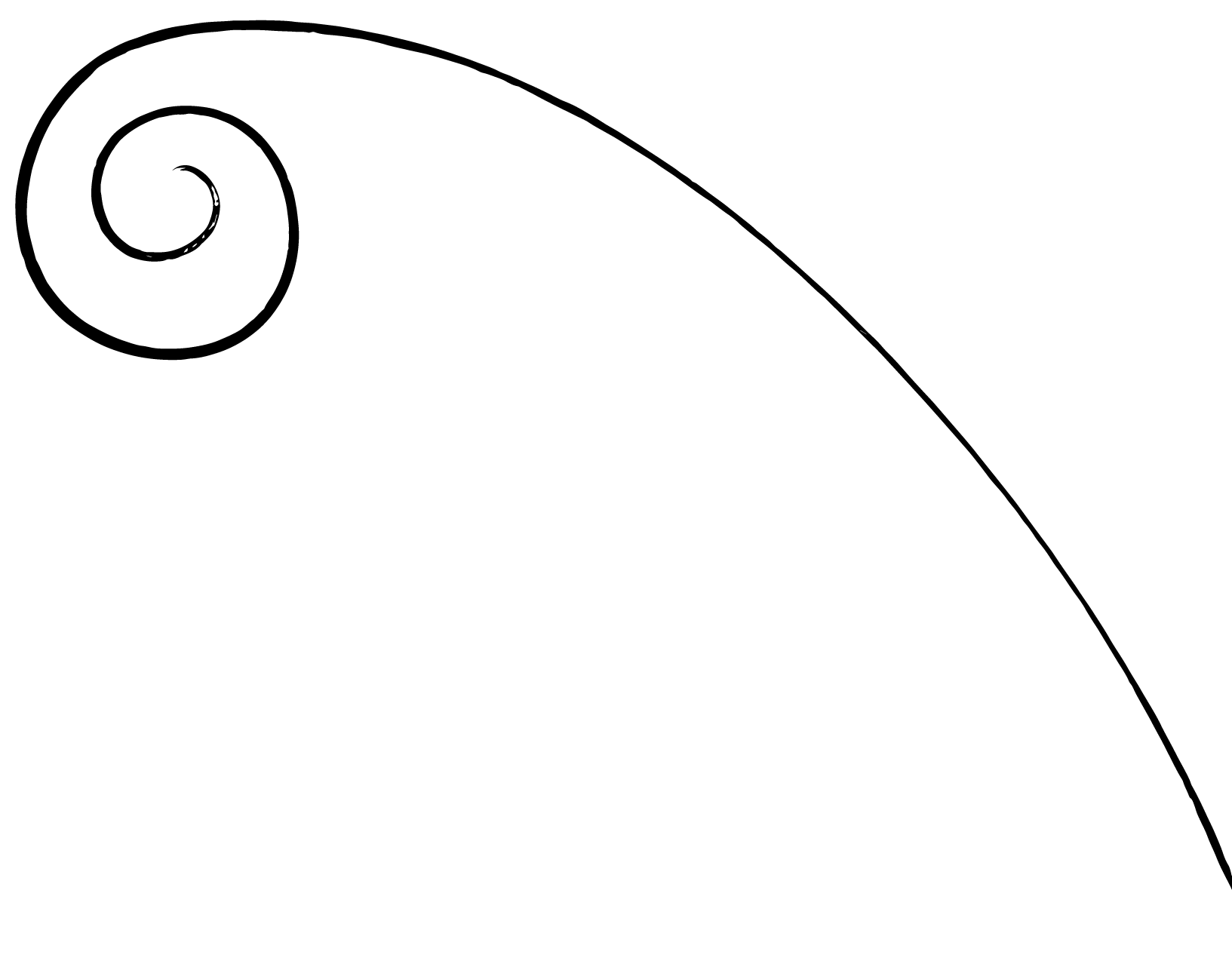 A long spiral shape.