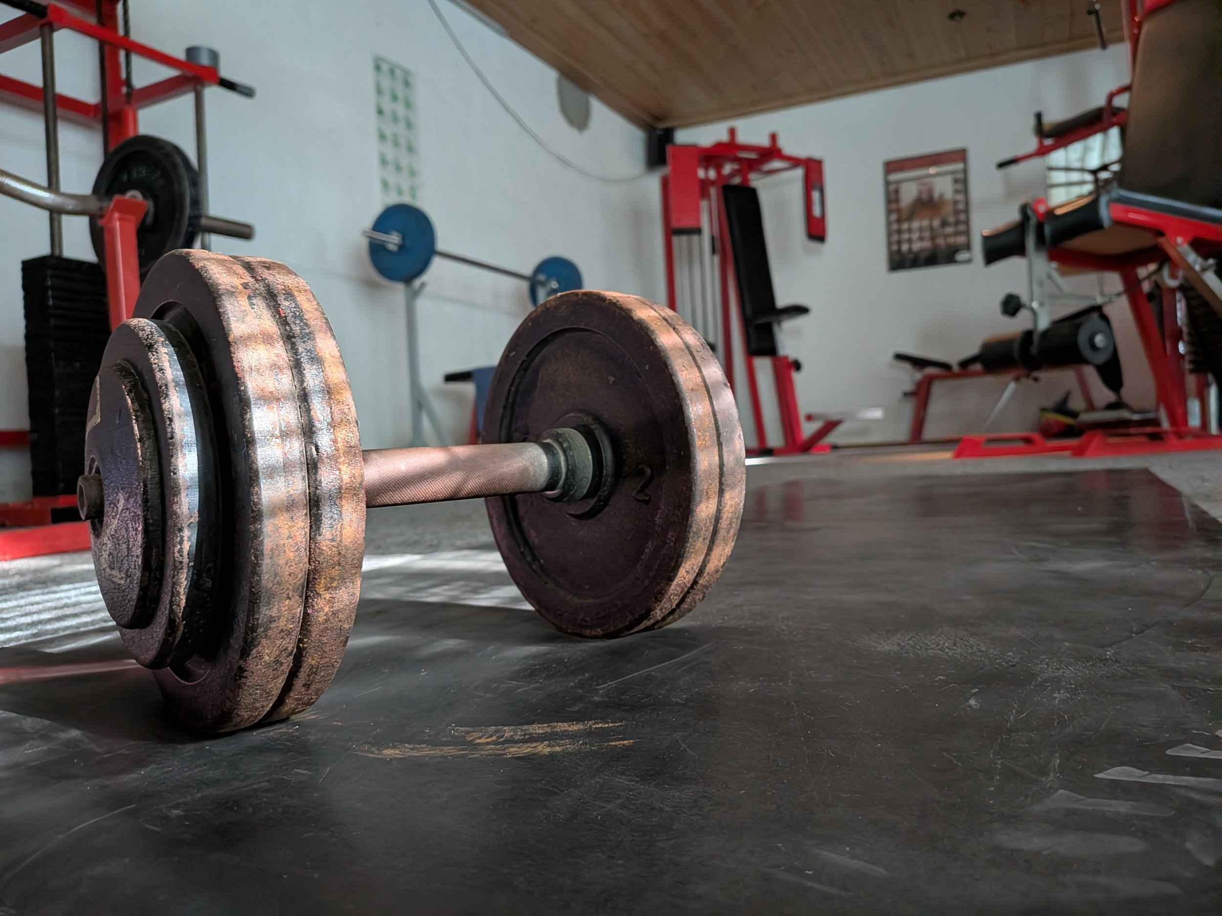 PXL_20260829_152909624.jpg