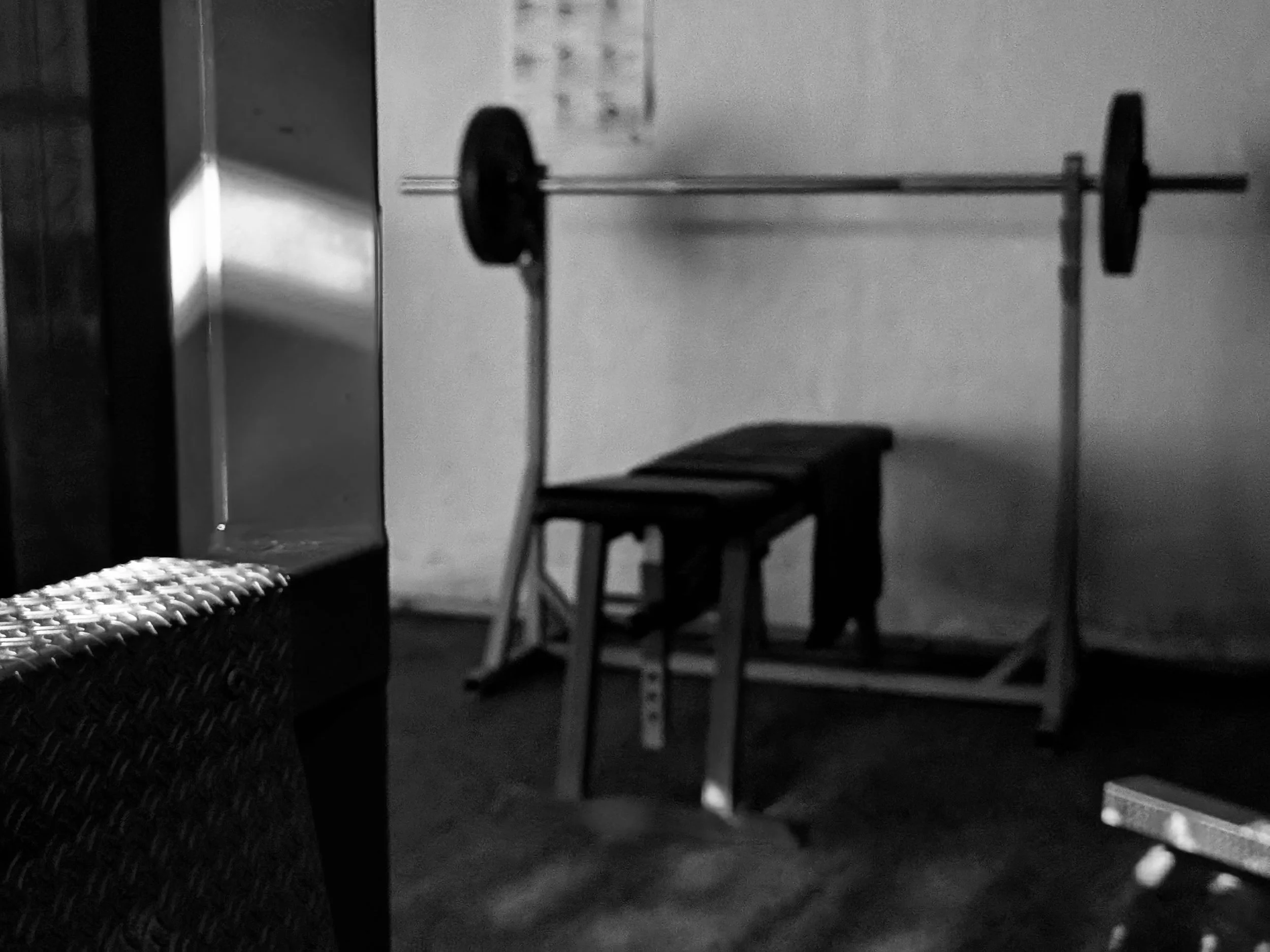 PXL_20260829_153929528.PORTRAIT.ORIGINAL.jpg